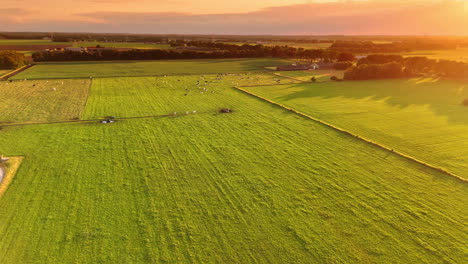 sunset over green farmlands. golden sunlight casts a warm glow over expansive green fields, highlighting rural beauty during evening hours