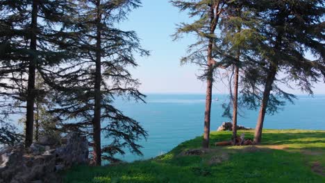 aerial, drone shot between trees, revealing the black sea, sunny afternoon, in kobuleti, adjara, georgia