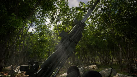 big-gun-cannon-in-the-forest