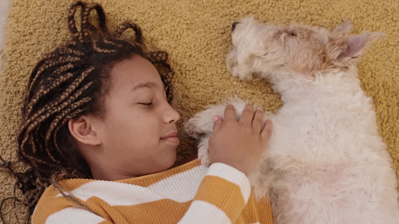 chica africana acariciando a un perro somnoliento