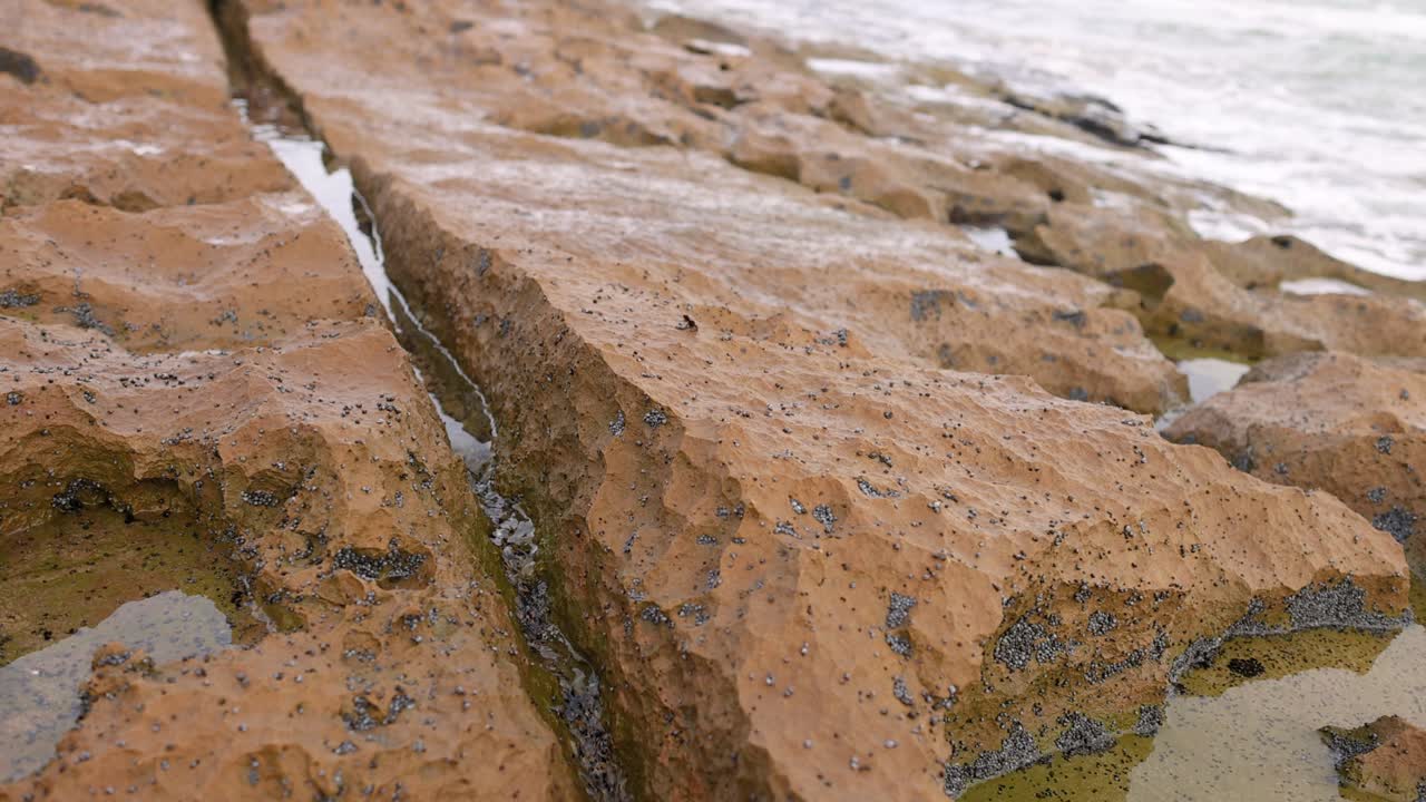 해변에 있는 침식된 바위와 조류 웅이