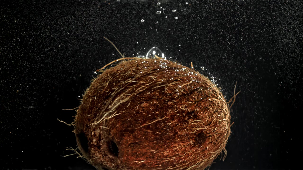 Whole Coconut Sinking into Water with Bubbles on Black Background