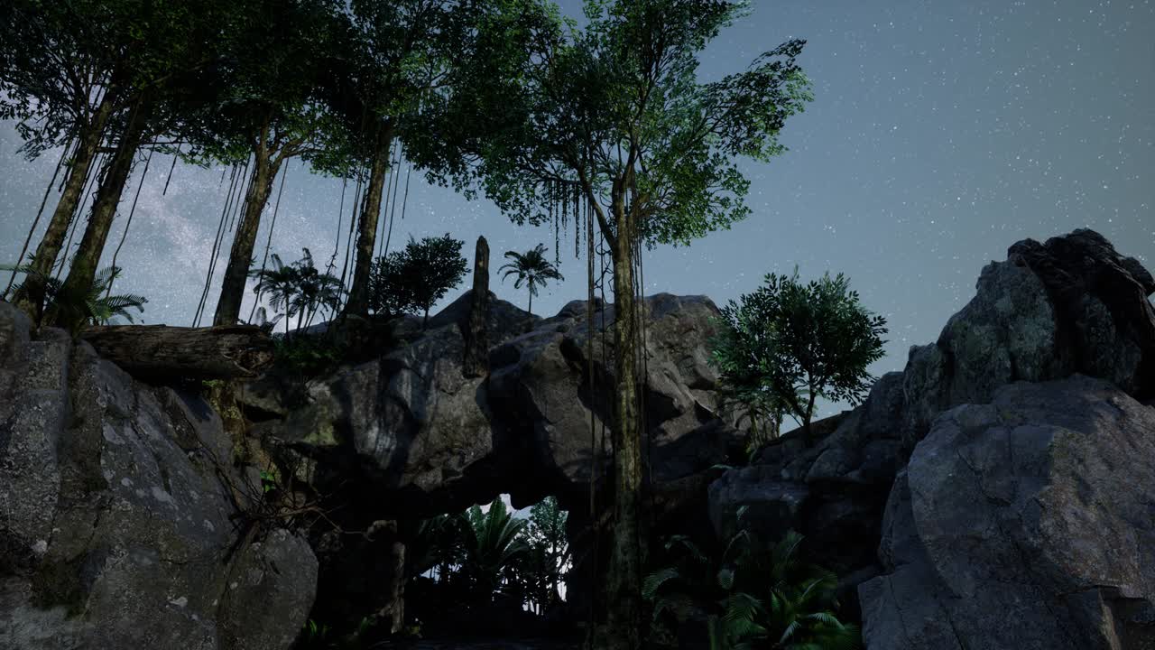 모래석 협곡 벽과 나무 위에 4k 하이퍼 ⁇ 스 스타 트레일