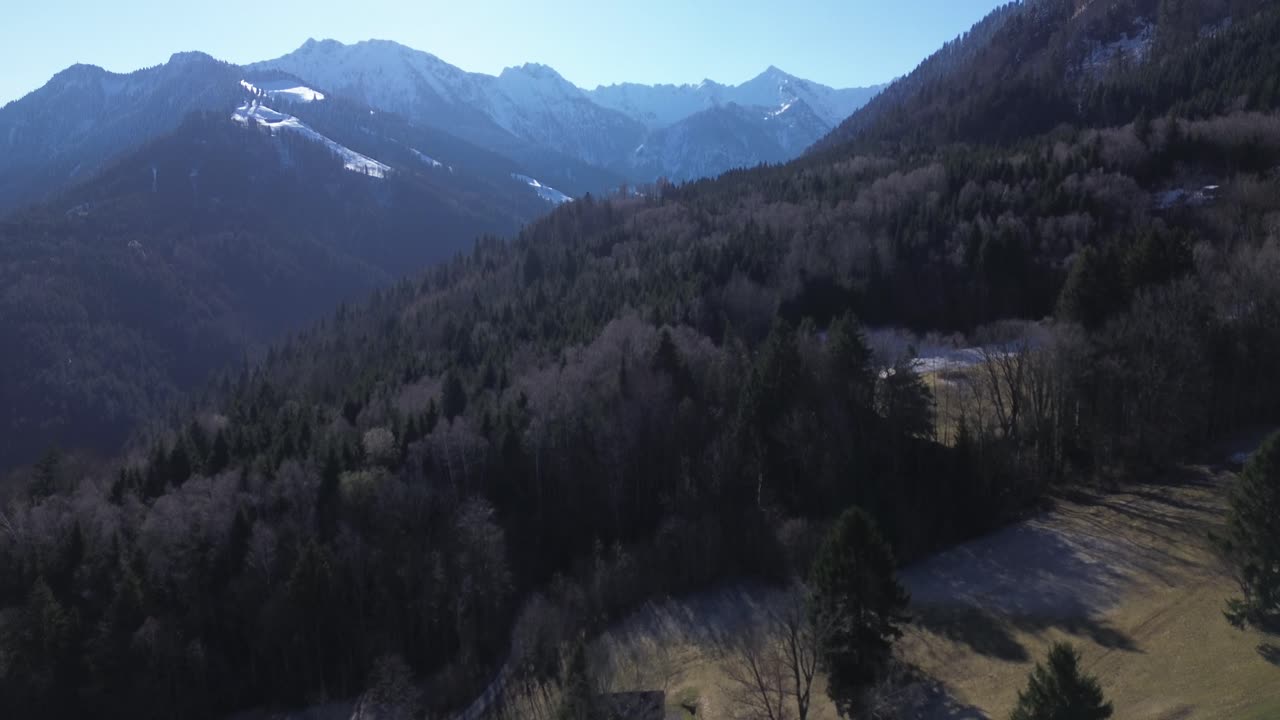 vista aérea de un dron volando sobre un bosque de pinos hacia el sol con montañas cubiertas de nieve en el fondo