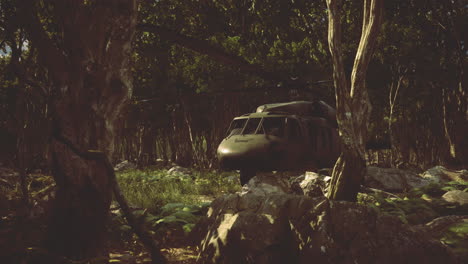 Military helicopter navigates dense jungle landscape at golden hour