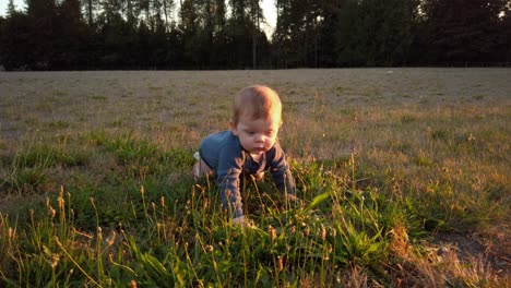 happy toddler boy crawls through tall grass facing sunset during warm summer evening