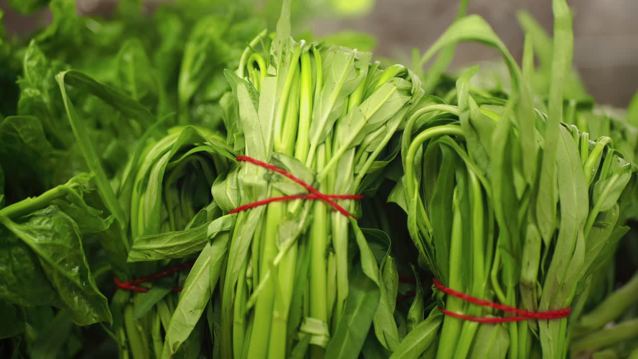 Bundles of Water Spinach