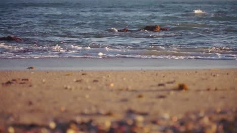 handheld shot of ocean waves at the beach in slow motion