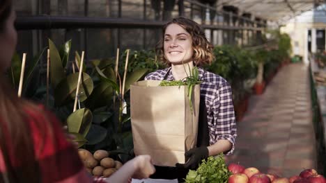 Portrait-Of-European-Saleswoman-Wearing-Apron-Is-Giving-Organic-Food-In-Brown-Paper-Bag-To-Female-Customer-In-Greenhouse