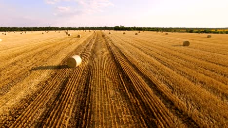 vista aérea del campo dorado con balas de paja de trigo al atardecer