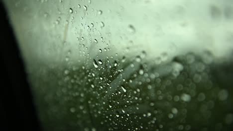 movement of rain falling on car side window