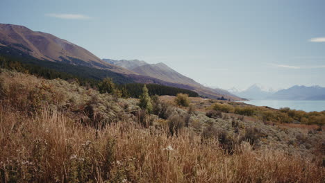 mountain landscape by a lake