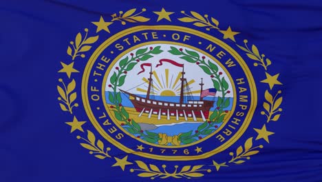 flag of new hampshire state, region of the united states, waving at wind