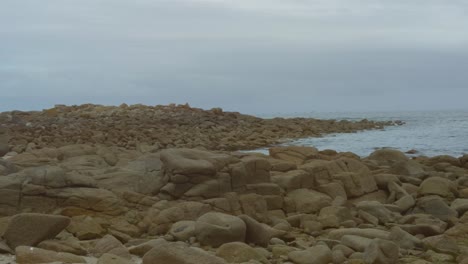 amplia orilla disparada con un montón de piedras grandes