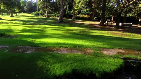 de las zonas de parques