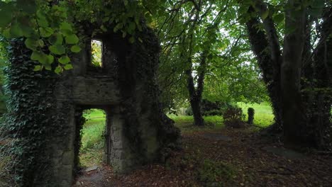 overgrown stone ruins in a forest