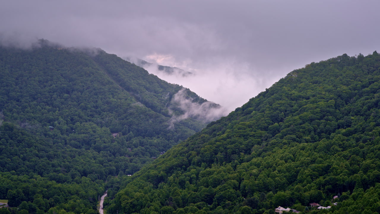 Majestic cinematic flight across mist and fog in the Smokies.