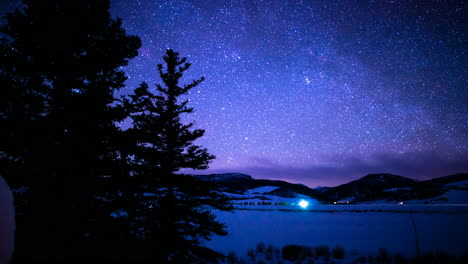 starlapse of blue and purples on the snow with silhouetted trees to look up intro the blurry sky