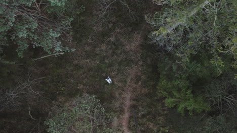 Astronaut-in-space-suit-walking-trough-forest