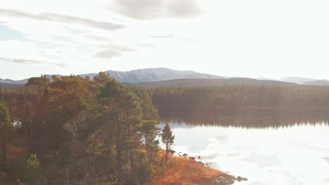 isla del lago alpino rodeada de bosques suecos y montañas con un sol brillante