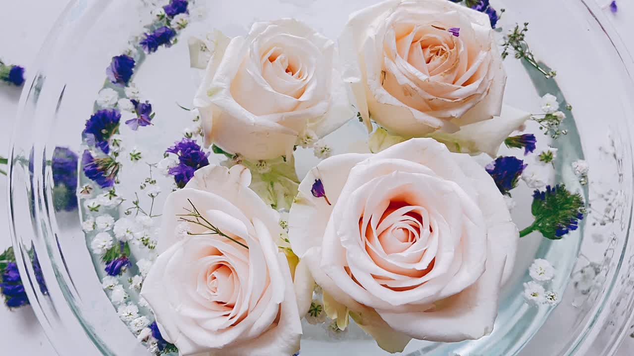 유리 그 에 부드러운 떠다니는 장미