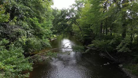 Drone-reverse-dolly-pullsback-passing-by-dense-trees-bending-over-wide-river