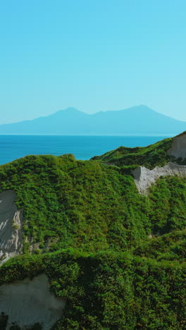 coastal landscape with lush vegetation and mountains