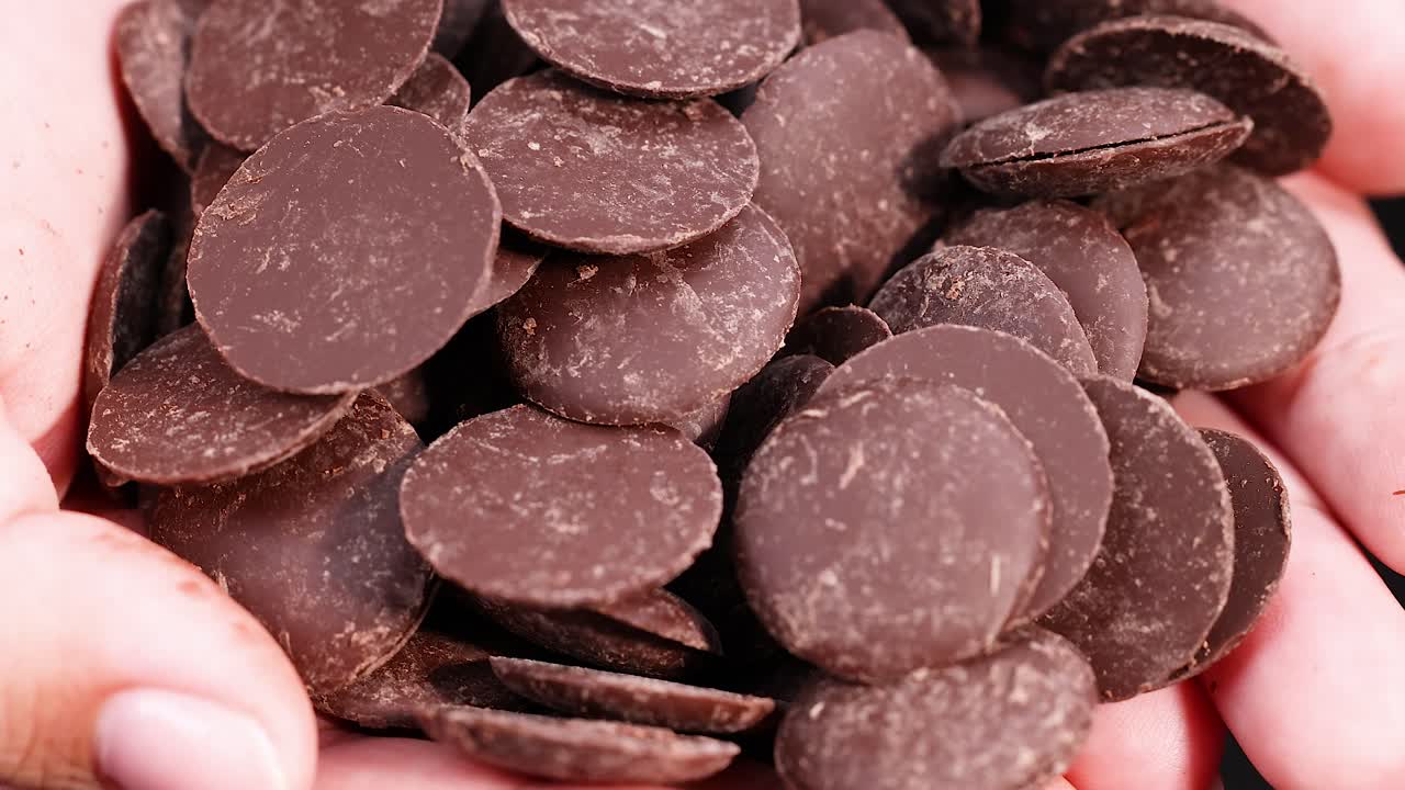 초콜릿 디스크 한 어리를 들고 있는 손