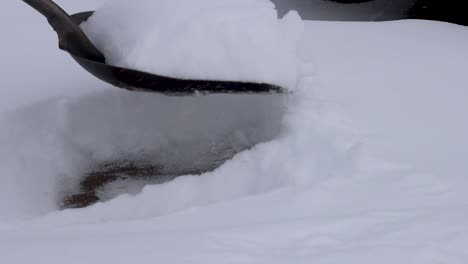 a scoop shovel clears snow from a neighborhood sidewalk