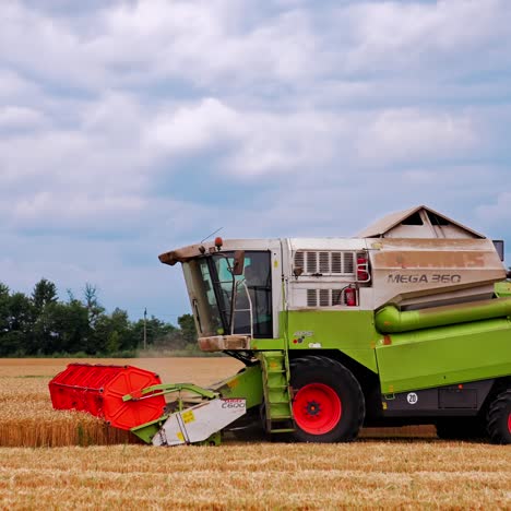 combine harvester working on wheat field. combine harvester agriculture machine harvesting golden ripe wheat field