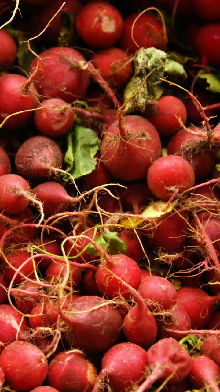 Close-up of turnips in organic section