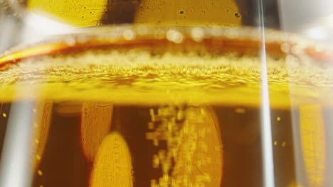 close-up of a glass of beer