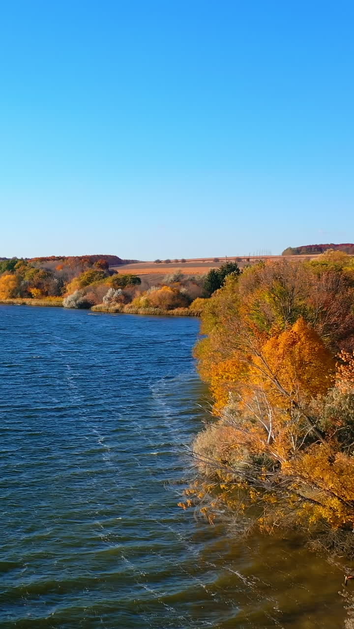 Stunning scenery of the dark blue river and colorful bank. Ripple surface of dark waters. A top view wide river and autumn forest. Vertical video