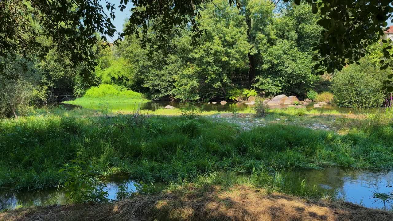 Panning view over the beautiful green nature around a small mountain river in Portugal