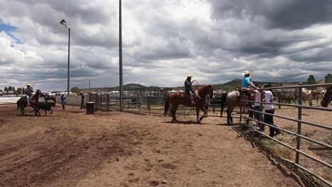 cowboys ride into the corral.