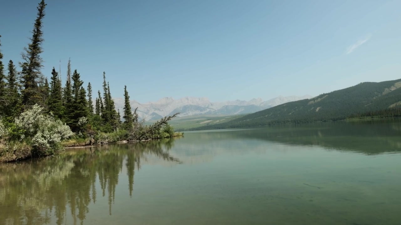 Il tranquillo lago Talbot riflette alberi sempreverdi e montagne distanti sotto la chiara luce del giorno, creando un paesaggio pacifico del Parco Nazionale Jasper con acqua immobile e vegetazione naturale sulla riva