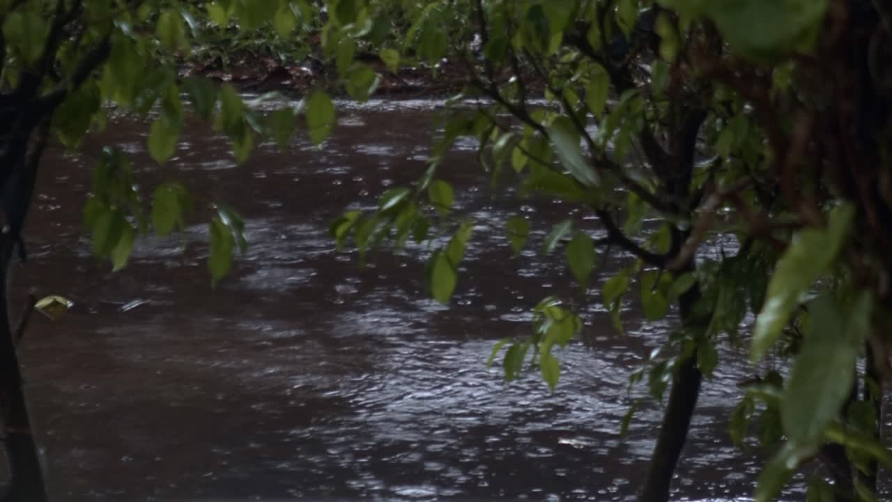 Brazilian extreme rainfall seasonal impact, downpour weather forecast