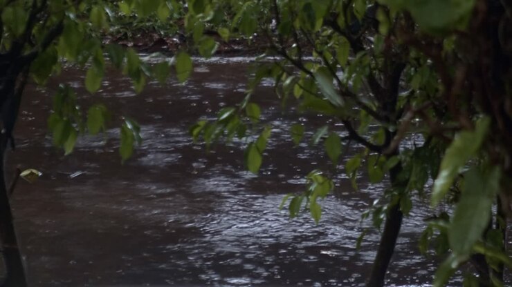 Brazilian extreme rainfall seasonal impact, downpour weather forecast