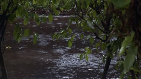 brazilian extreme rainfall seasonal impact, downpour weather forecast