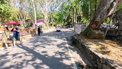 los visitantes disfrutan de un día soleado en el zoológico.