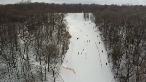 Skisport,-Winterschnee.-Bäume-Im-Wald-Mit-Show-Bedeckt.-Kaltes-Winterschneitwetter.-Skigebiet.-Ukraine,-Kiew