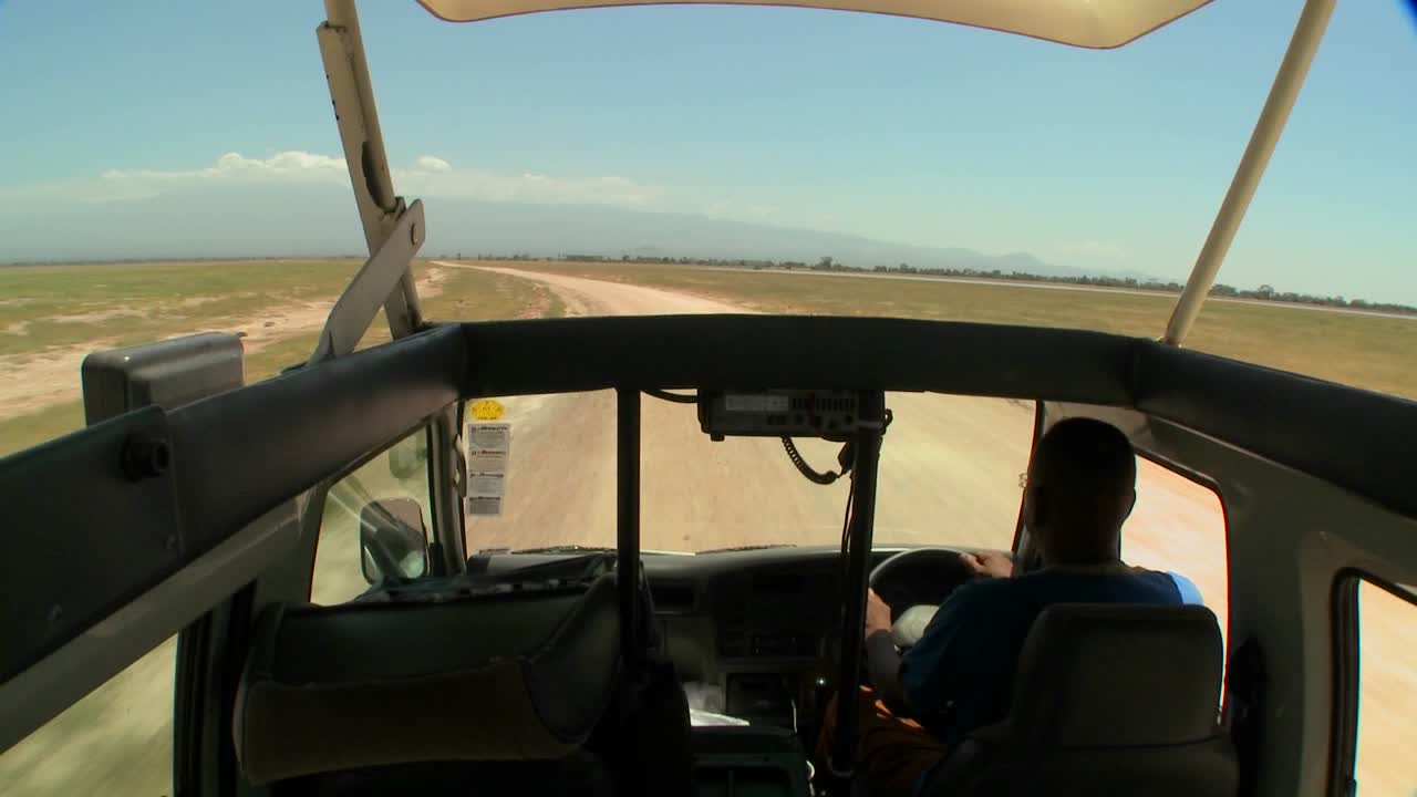 아프리카 2를 통해 오픈 탑 사파리 차량에서 운전하는 pov 샷