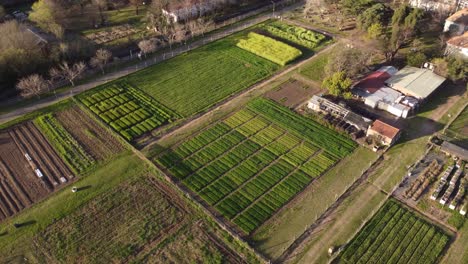 Eine-Dynamische-Weitwinkel-luftaufnahme-Des-Sonnenuntergangs-über-Einer-Gemüsefarm-In-Agronomia,-Buenos-Aires