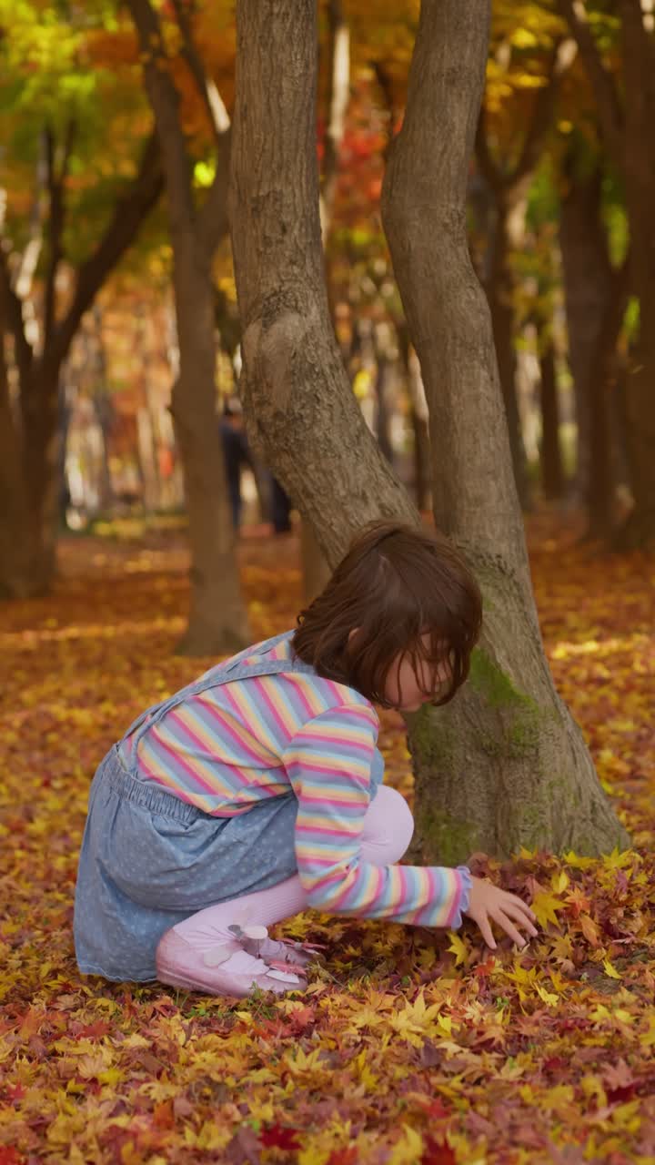 Portrait of a smiling preschool age girl holding a large bunch of colorful maple leaves while standing in a forest covered in vibrant yellow and red foliage