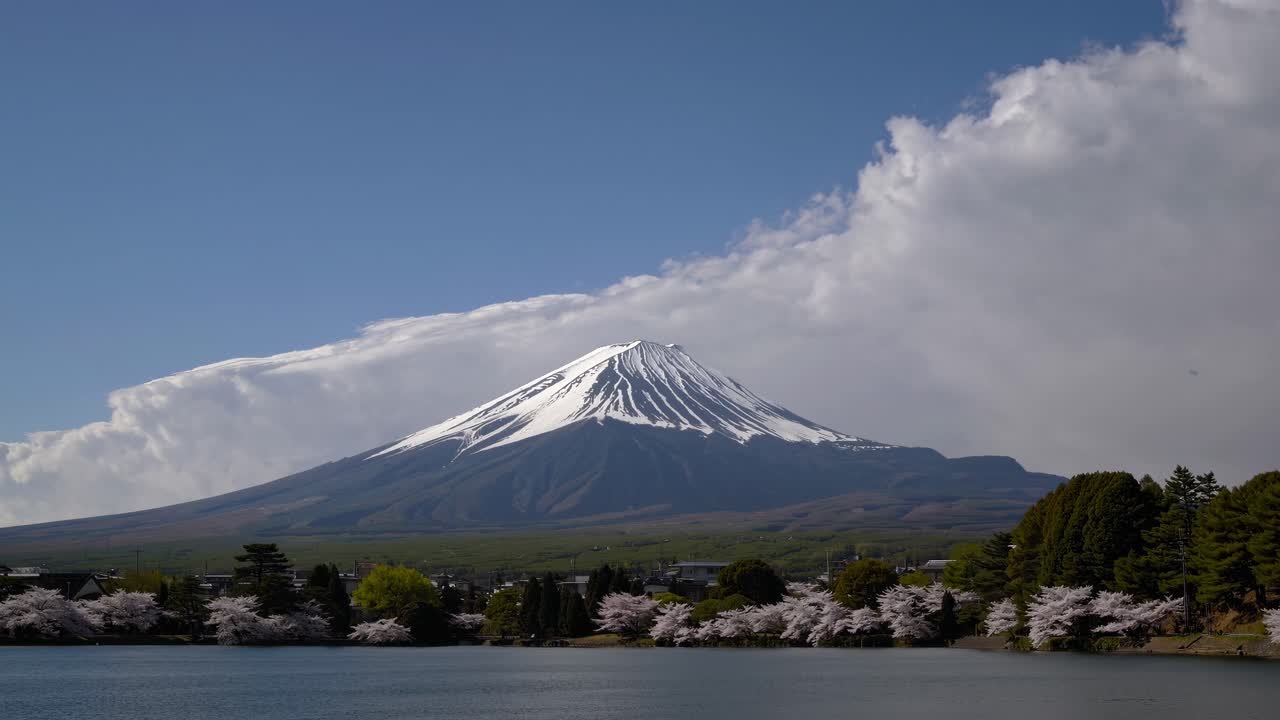 Video panoramico del Monte Fuji da un angolo basso, con fiori di ciliegio e un lago sereno