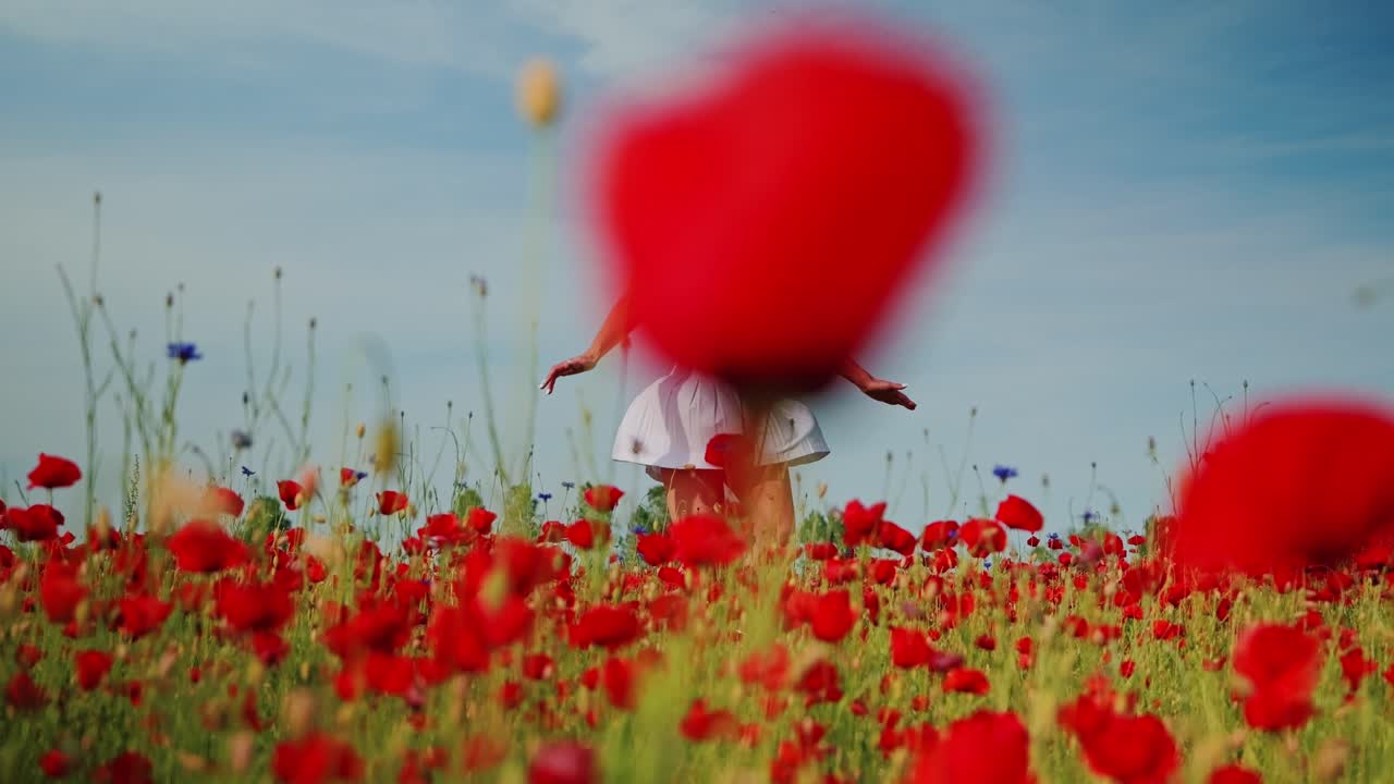 Young woman twirls freely among vibrant red poppies and blue wildflowers