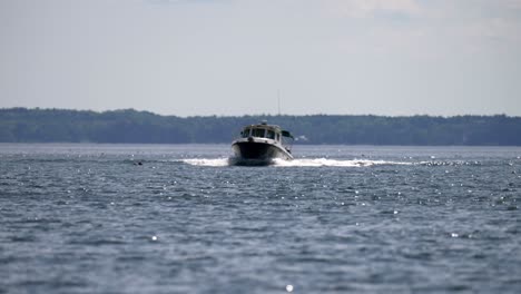 el bote de velocidad se desliza a través de aguas abiertas mientras la luz del sol brilla y brilla, el fondo de la colina boscosa