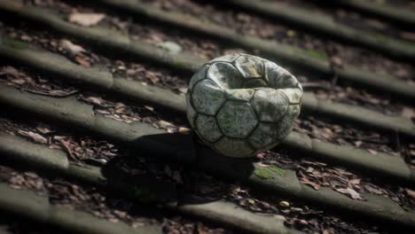 old soccer ball on the roof of a house