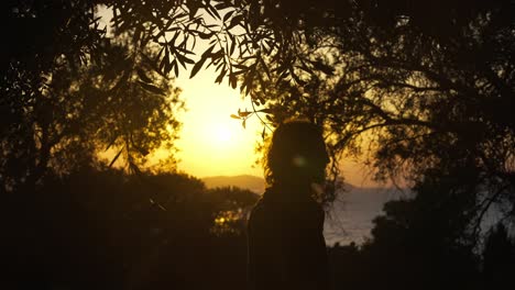 Silueta-De-Un-Hombre-Caminando-Con-Una-Serena-Puesta-De-Sol-En-El-Mar-De-Fondo-Vista-A-Través-De-Las-Ramas-De-Los-árboles,-Corfú