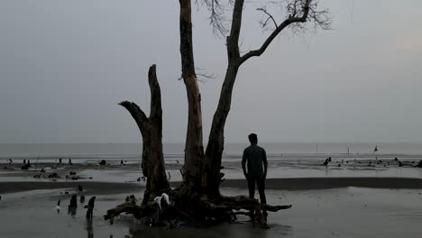 Traurige-Szene-Eines-Depressiven-Mannes,-Der-Neben-Einem-Toten-Baum-Am-Strand-In-Die-Ferne-Starrt